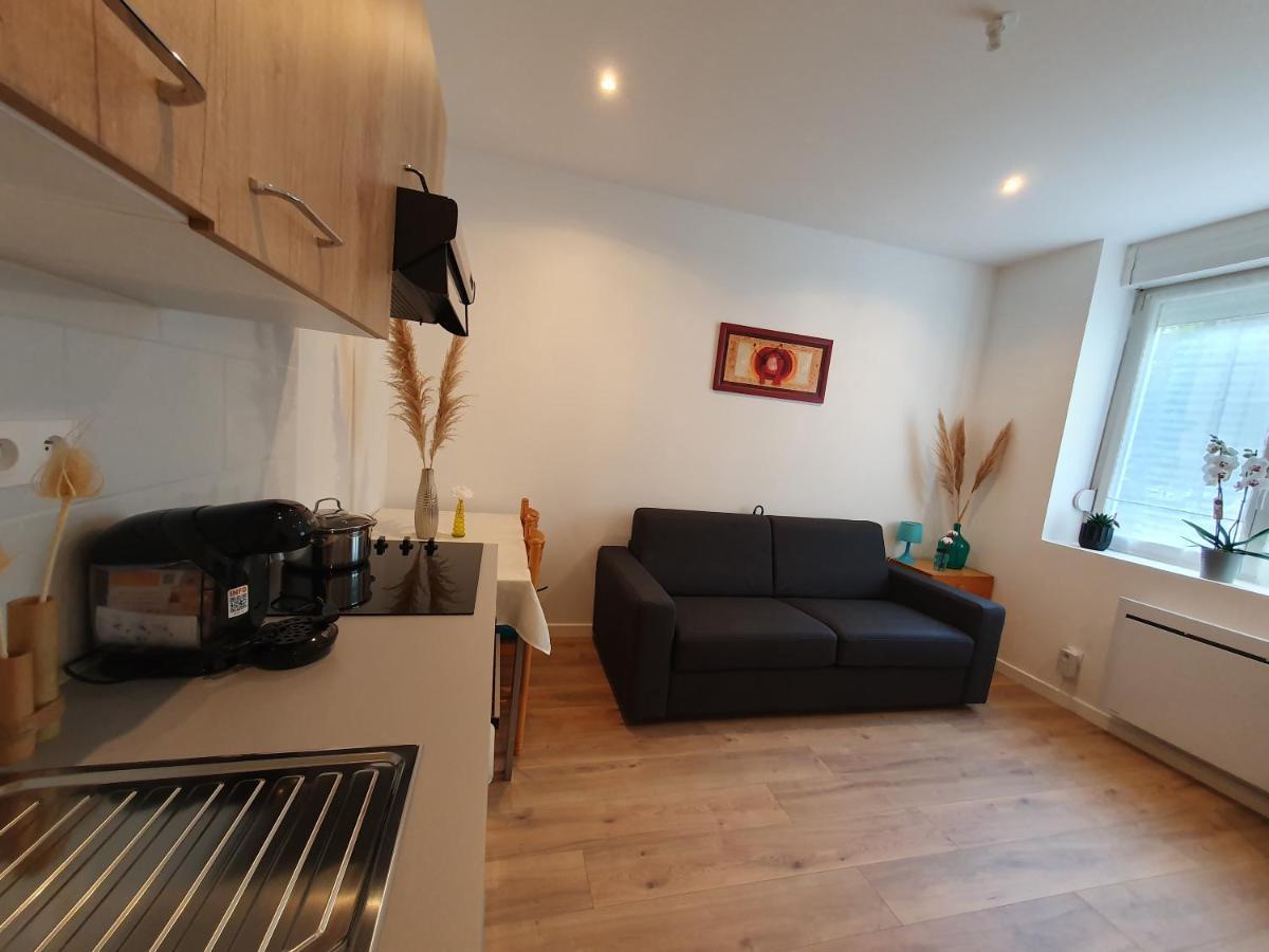 Appartement Savane Нансі Екстер'єр фото